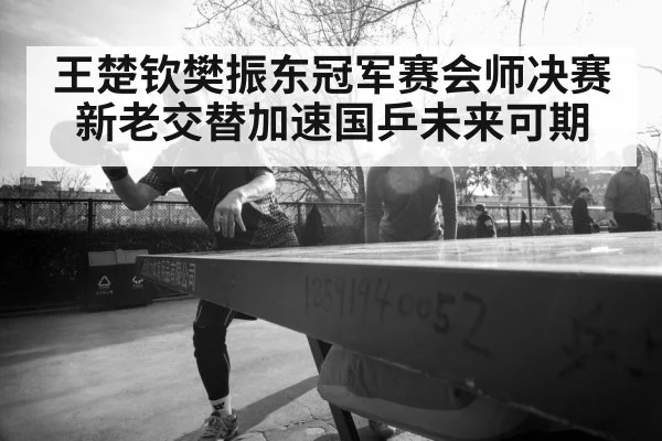 王楚钦樊振东冠军赛会师决赛 新老交替加速国乒未来可期